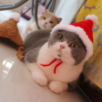 Hand-woven Christmas Little Red Riding Hood Cute Pet Headdress Cat Hat Cross Dress Hat Dog Headgear New Year Dress