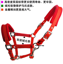 High-grade horse cage with cushion and sponge special soft protection horse skin Alloy Fastener