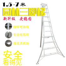 Garden pruning ladder triangle ladder three-foot ladder green ladder modeling ladder garden picking orchard aluminum alloy ladder