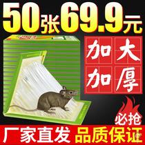 Sticky mouse board Sticky mouse glue stick household strong plus bait sticky kill rat trap artifact increase thick Hui installed