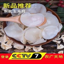 Changbai Mountain high-quality white jade fungus northeast specialty small bowl ear white jade fungus dry goods clean and rootless 250g