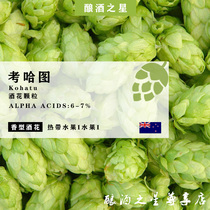 Kohatu hops Kohatu Kohatu home brew beer imported pellet hops boutique recommended