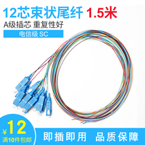 Haohanxin 12-core bundle pigtail SC square head single-mode fiber jumper telecom class