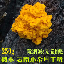 Yunnan wild gold ear fungus dry goods 250g terproduce glutinous ear authentic yellow fungus silver ear edible mushroom mushrooms