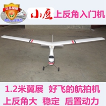 Direct sales Kitty trainer entry machine remote control model plane large anti-angle 1200 wingspan new mobile phone fluttering machine