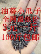 Black Pearl oil sunflower seeds sunflower seeds oil extract seedlings cabbage pigeon squirrel squirrel parrot ration 500g