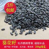 Black pearl small melon seeds Sunflower bird food Xuan Feng Sun Peony parrot snack Hamster snack 1 catty
