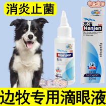 Special eye drops for border pastoral keratitis conjunctivitis anti-inflammatory and anti-bacterial pet dog eye cleaning products