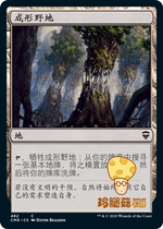 Forming Wild Evolving Wilds MTG Commander Legend Pre-Group CMR-482 Jane China Railway