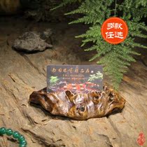 (Nanguo root Art)Natural shape gall wood tree tumor Gold camphor root carving play business card holder Business card holder a variety of models