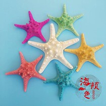 Natural conch shell five-finger overlord starfish specimen Mediterranean style wedding props platform decorations ornaments