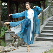 Van Gogh dance classical dance rehearsal for women Chinas ancient windy folk dance dress flutter and robe table acting out of suit