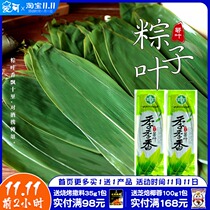 Ruozong leaves cotyledons Zongba leaves fresh large-sized rice dumplings dried reed leaves wild commercial 100 pieces