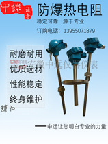 Explosion-proof thermal resistance temperature transmitter with HART protocol with transmitter output PT100 resistance armored thermocouple