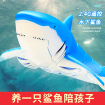 Remote control great white shark fish shaking sound electric model childrens boy toy simulation remote control boat swimming fish can move fish