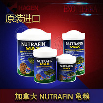 HAGEN Canada Xijin water turtle grain original imported floating high calcium plus D3 strip particles half water turtle egg turtle