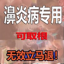 Kang 1 Nonning Rhinitis Ointment Xanthium Biyan Tablets Capsules Dong Rhinitis Water Rhinitis Spray Nasal Plug Ventilation