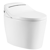 Dongpeng Sanitary ware wash treasure 8121D