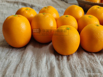 High simulation orange Sunkist navel orange fake fruit model cabinet decoration props fruit shop fake orange ornaments