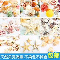 Drifting shell conch Sea Star Childrens handmade diy material package ornaments landscaping decoration natural wind chimes fish tank