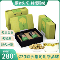 Tai chrysanthemum chrysanthemum Tongxiang authentic golden autumn head special chrysanthemum tea dry flower grass tea small iron can class gift box