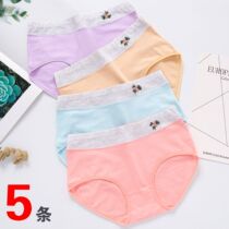 High junior high school student underwear female cotton girl comfortable breifs waist bottom pants summer breathable simple underwear