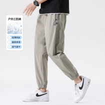 Fabric legend says that speed - dried outdoor ice screen in summer thin nine - point casual pants for mens loose beam - foot sweaters