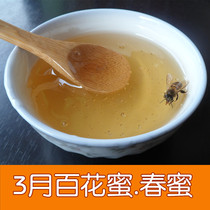 Wild Baihua Honey Spring Honey No Processing Original Honey Farmers Self-produced Conghua Beekeepers Natural Honey 500g