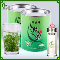 Green Yunfeng alpine green tea New tea Alpine cloud sunshine fragrant green tea canned 2 cans free cup ZjIkkj