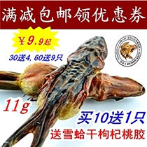 (Mountain Forest Family)Pure dried 11g Changbai Mountain snow clam forest frog dried whole toad oil with gift box