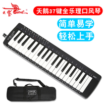 Swan mouth organ full music 37 key students practice teaching competition children adult mouth piano professional instrument piano