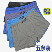 Mens middle-aged and elderly panties high-waisted oversized loose cotton old man shorts toe four-corner cotton dad boxers