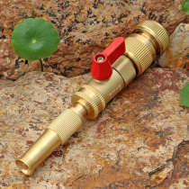 Home Hose Quick Coupling Blooming DC Adjustable Straight Nozzle Watering Car Wash Sprinkler Brass Water Gun Spray Head