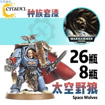 Treasure chest Warhammer 40k race set Lacquer Space Wolves Space Wolf Group fine coating