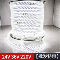 led lamp with 100 m cultured outdoor brightening waterproof 24V basement tunnel site fence lighting 36V white light