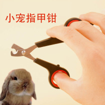 Rabbit nail scissors nail clippers cat dog nail clippers file pet rabbit Totoro hamster nail grater small