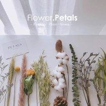Dried flower bouquet Eucalyptus pine cones starry roses real flowers air-dried natural diy material living room decoration ornaments