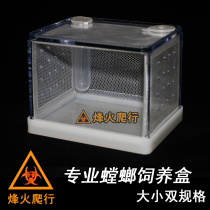 Professional mantis feeding box high transparent rearing cage stick insect cage insect cage reptile advanced observation box