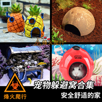Pet shelter collection hermit crab hamster resin Cave natural coconut shell with rope ladder ceramic cartoon