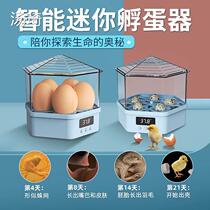 Incubator pigeon duck egg incubator egg artifact childrens chick small household bird egg parrot chick