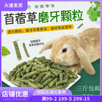 Pet Rabbit Clover Grass Grain Grinding Tooth Rabbit Grain Young Rabbit Rabbit Dutch Pig Rabbit Grain Clog Clover Fodder 500g