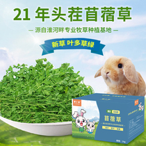 21-year-old new grass boutique drying alfalfa rabbit Chinchilla guinea pig Dutch pig hay forage Rabbit food 1kg