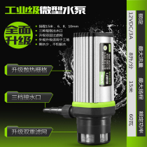 Micro power 12V small water pump pumping household type 220V submersible self-priming micro automatic slotted water drilling rig pump