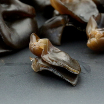 Northeast Changbai Mountain specialty black fungus dry goods Super rootless free cloud ear autumn fungus 500g
