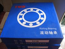 Zhejiang Tianma TMB Bearing N226EM NJ226M NU226 42226 32226 Cylindrical Roller Bearing