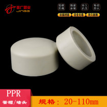 ppr pipe bulkhead plug cap; Plugs du mao cap 20 25 32 40 50 63 75 90 110