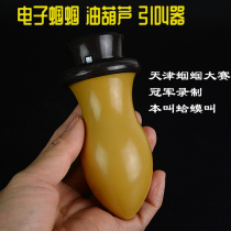 New electronic grasshopper grylluluststaceus lead called The Tianjin grasshopper champion recorded called Toad call