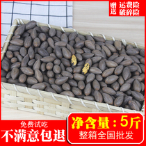 New goods Zhuji Fengqiao big seed Torreya net content 2kg 5kg whole box New Year goods loose bagged nut snacks dried fruit