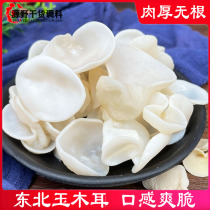 Northeast small white jade fungus dry goods bamboo ear fungus root-free small Bowl ear snow ear non-Changbai Mountain specialty white fungus 250g