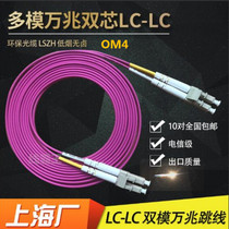 lc-lc multimode 10 Gigabit jumper 3 m om4 lc-lc 10 gigabit jumper pigtail om4 jumper
